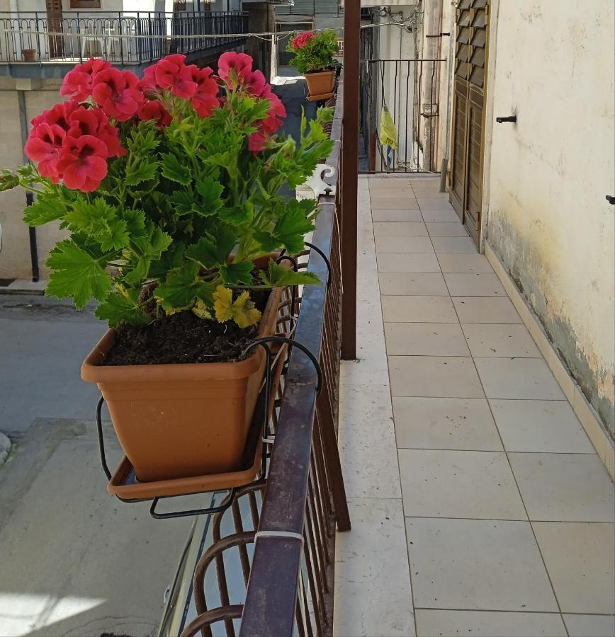 B&B La Casa Dell'Ospite Gravina in Puglia Eksteriør billede